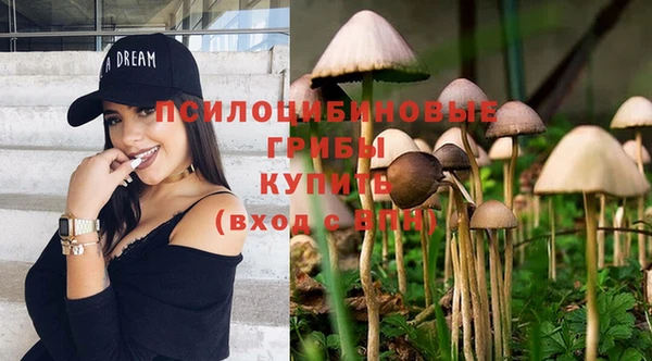 стафф Балабаново