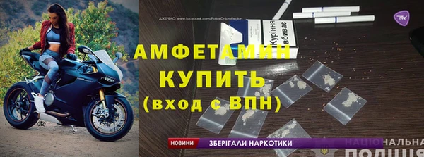 индика Струнино