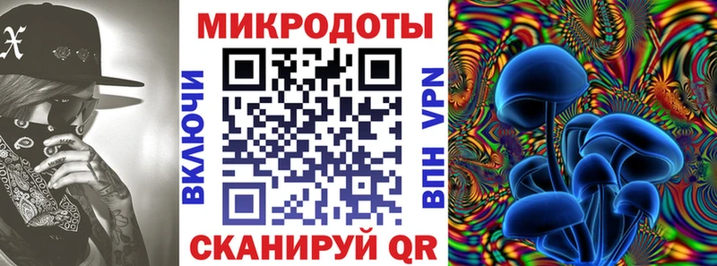 как найти наркотики  Заозёрный  Галлюциногенные грибы мицелий 
